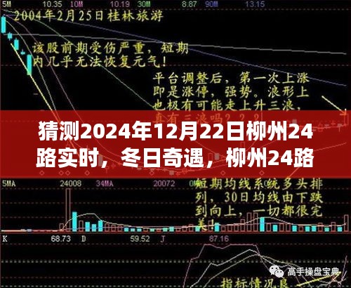 冬日奇遇，柳州24路暖心时光实录（猜测2024年12月22日实时）