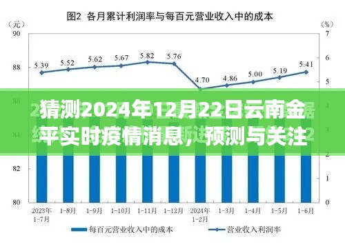 2024年12月22日云南金平实时疫情动态猜测与解析