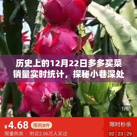 多多买菜历史销量揭秘，探秘小巷宝藏，揭秘12月22日销量奇迹实时统计