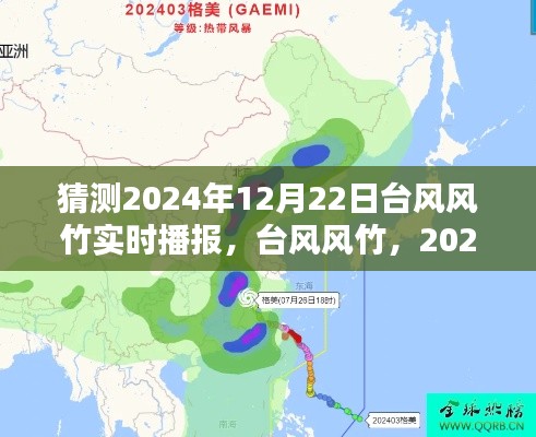 台风风竹动态播报，回顾2024年12月22日影响及最新动态