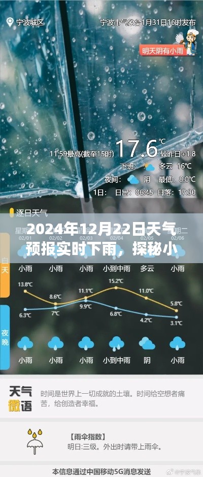 雨巷探秘，天气预报实时雨中的特色小店之旅