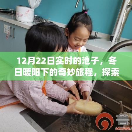 12月22日实时池子探索，冬日暖阳下的宁静与美丽之旅