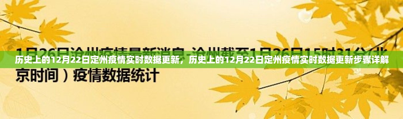 历史上的12月22日定州疫情实时数据更新及其详细步骤解析