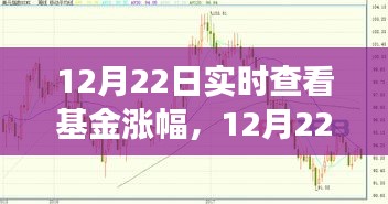 12月22日基金市场实时洞察，把握涨幅，洞悉投资先机