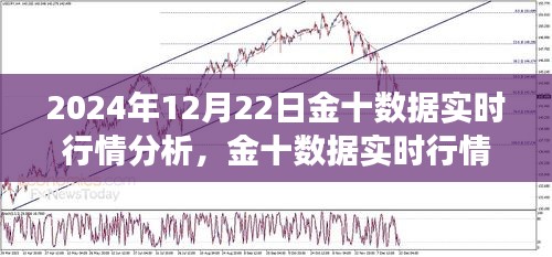 金十数据实时行情洞察，2024年12月22日市场深度分析。