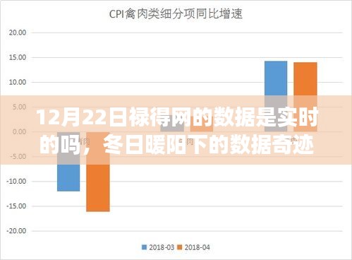 冬日暖阳下的数据奇迹，禄得网实时数据解析