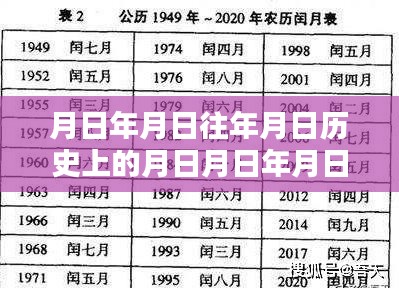 月日查询系统，历史与实时检测的综合评测与查找文字功能探索