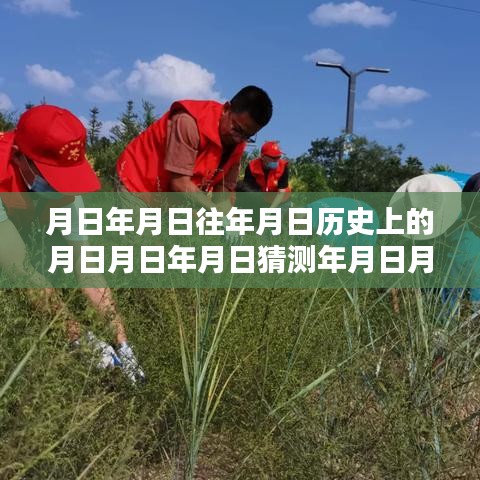 张家口蒿草浓度历史数据与实时查询指南，探索年月日间的秘密