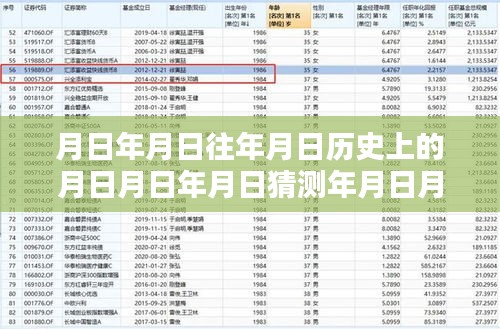 实时排行软件评测，月基金估值与历史上的基金表现深度解析