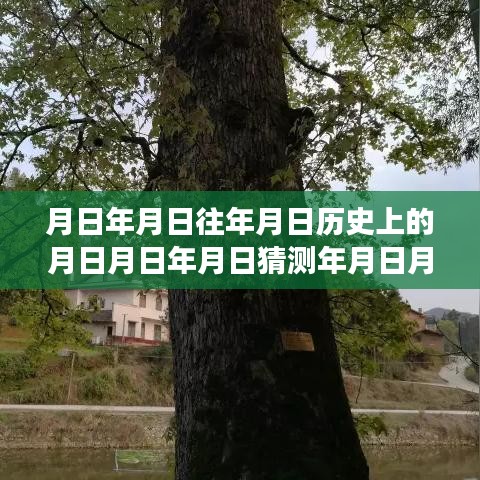 探索历史与未来，苹果实时字幕功能使用指南及历史探索回顾