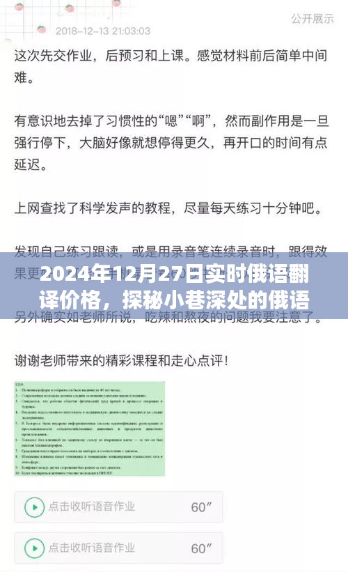 探秘小巷深处的俄语翻译宝藏，揭秘实时俄语翻译价格（针对2024年12月27日）