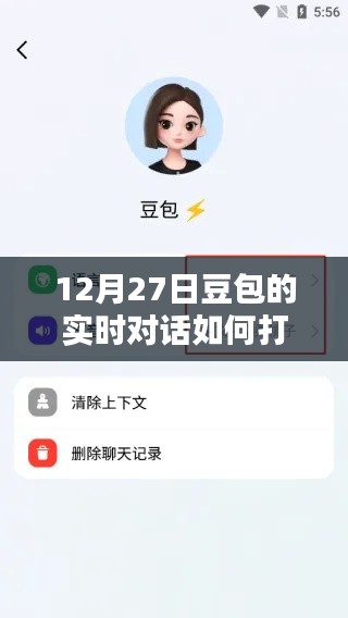 12月27日豆包实时对话开启指南，从初学者到进阶用户的详细步骤