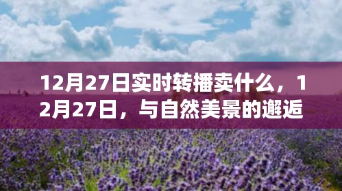 12月27日与自然美景的邂逅，实时旅行直播探寻内心平静之旅