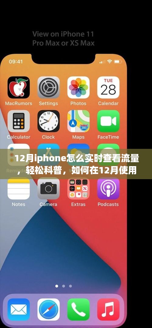 iPhone实时查看流量消耗，轻松科普指南