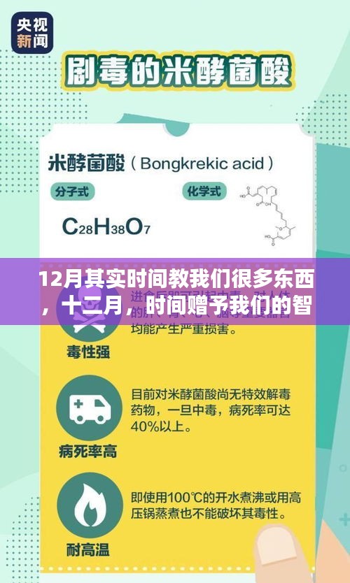 十二月，时间与智慧的馈赠