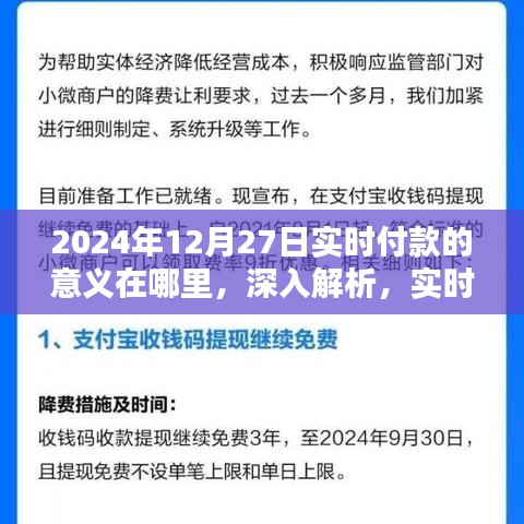 深入解析，实时付款在2024年12月27日的价值、特性、体验、竞品对比及用户群体分析