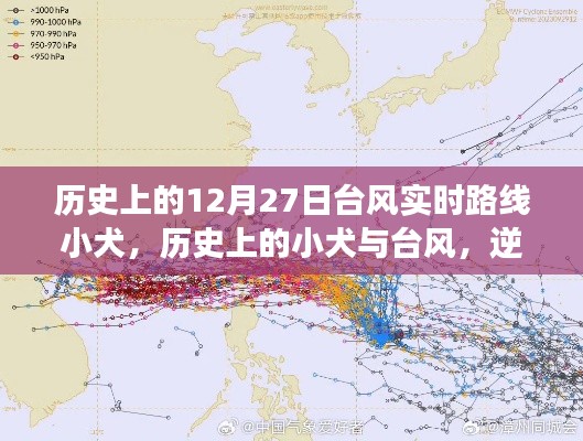 历史上的12月27日台风与小犬的逆风翱翔，学习之路的自信与成就感之路