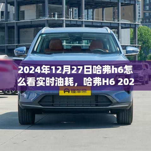 哈弗H6 2024款实时油耗监测系统深度体验与评测，实时油耗查看详解