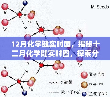 揭秘十二月化学键实时图，探索分子间的奥秘之旅