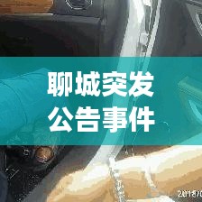 聊城突发公告事件最新动态更新