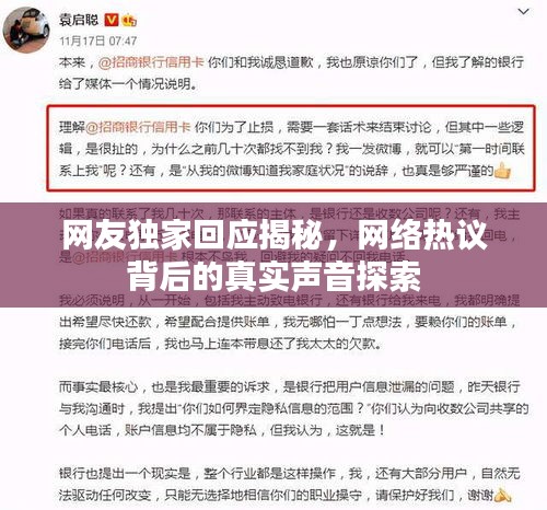 网友独家回应揭秘，网络热议背后的真实声音探索