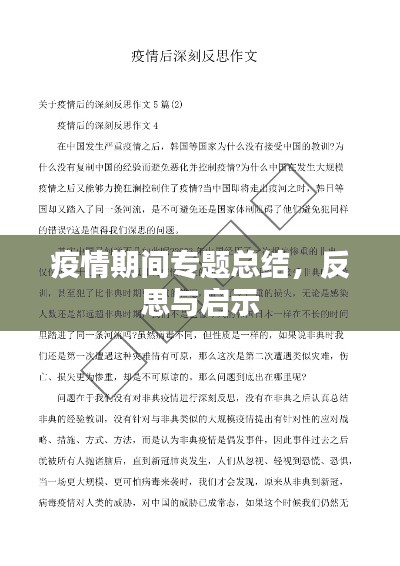 疫情期间专题总结，反思与启示