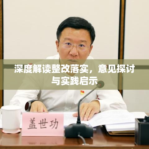 深度解读整改落实，意见探讨与实践启示