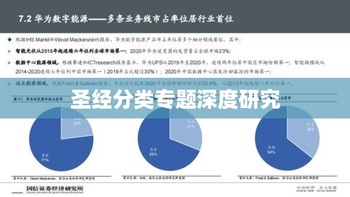 圣经分类专题深度研究