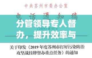 分管领导专人督办，提升效率与确保任务完成的秘诀！