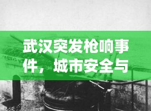 武汉突发枪响事件，城市安全与秩序面临严峻挑战