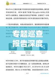 专题巡查报告深度解析，发现问题与解决方案的综合呈现