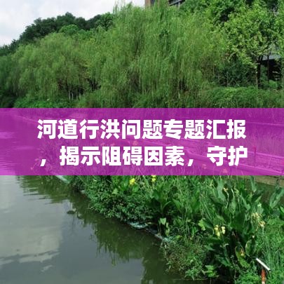 河道行洪问题专题汇报，揭示阻碍因素，守护水域安全