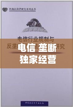 电信 垄断 独家经营，中国电信垄断问题研究 