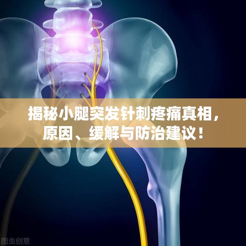 揭秘小腿突发针刺疼痛真相，原因、缓解与防治建议！