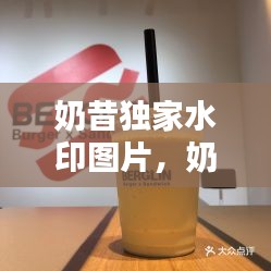 奶昔独家水印图片，奶昔原图 