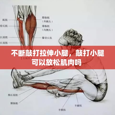 不断敲打拉伸小腿，敲打小腿可以放松肌肉吗 