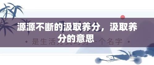 源源不断的汲取养分，汲取养分的意思 