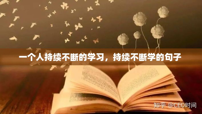 一个人持续不断的学习，持续不断学的句子 