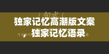 独家记忆高潮版文案，独家记忆语录 