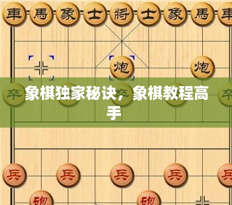 象棋独家秘诀，象棋教程高手 