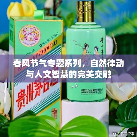 春风节气专题系列，自然律动与人文智慧的完美交融