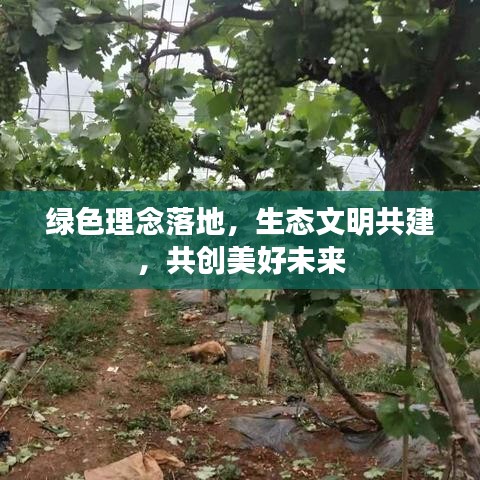 绿色理念落地，生态文明共建，共创美好未来