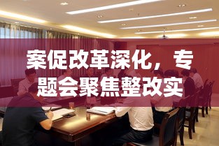 案促改革深化，专题会聚焦整改实效