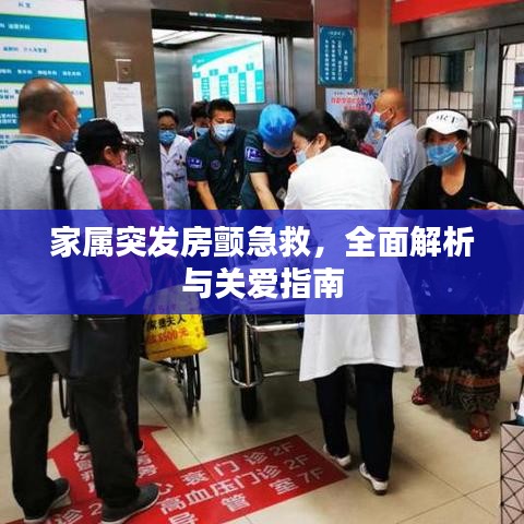 家属突发房颤急救，全面解析与关爱指南