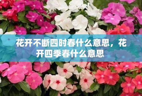 花开不断四时春什么意思，花开四季春什么意思 