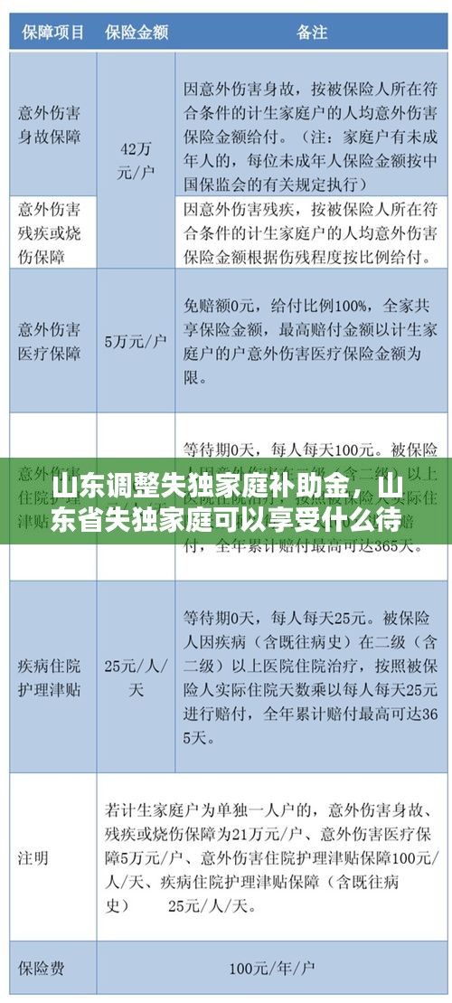 山东调整失独家庭补助金，山东省失独家庭可以享受什么待遇 