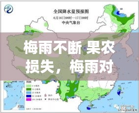 梅雨不断 果农损失，梅雨对长江中下游区的农业有何影响 