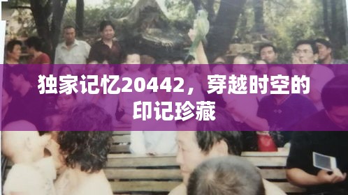 独家记忆20442，穿越时空的印记珍藏