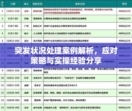 突发状况处理案例解析，应对策略与实操经验分享