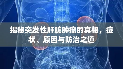 揭秘突发性肝脏肿瘤的真相，症状、原因与防治之道